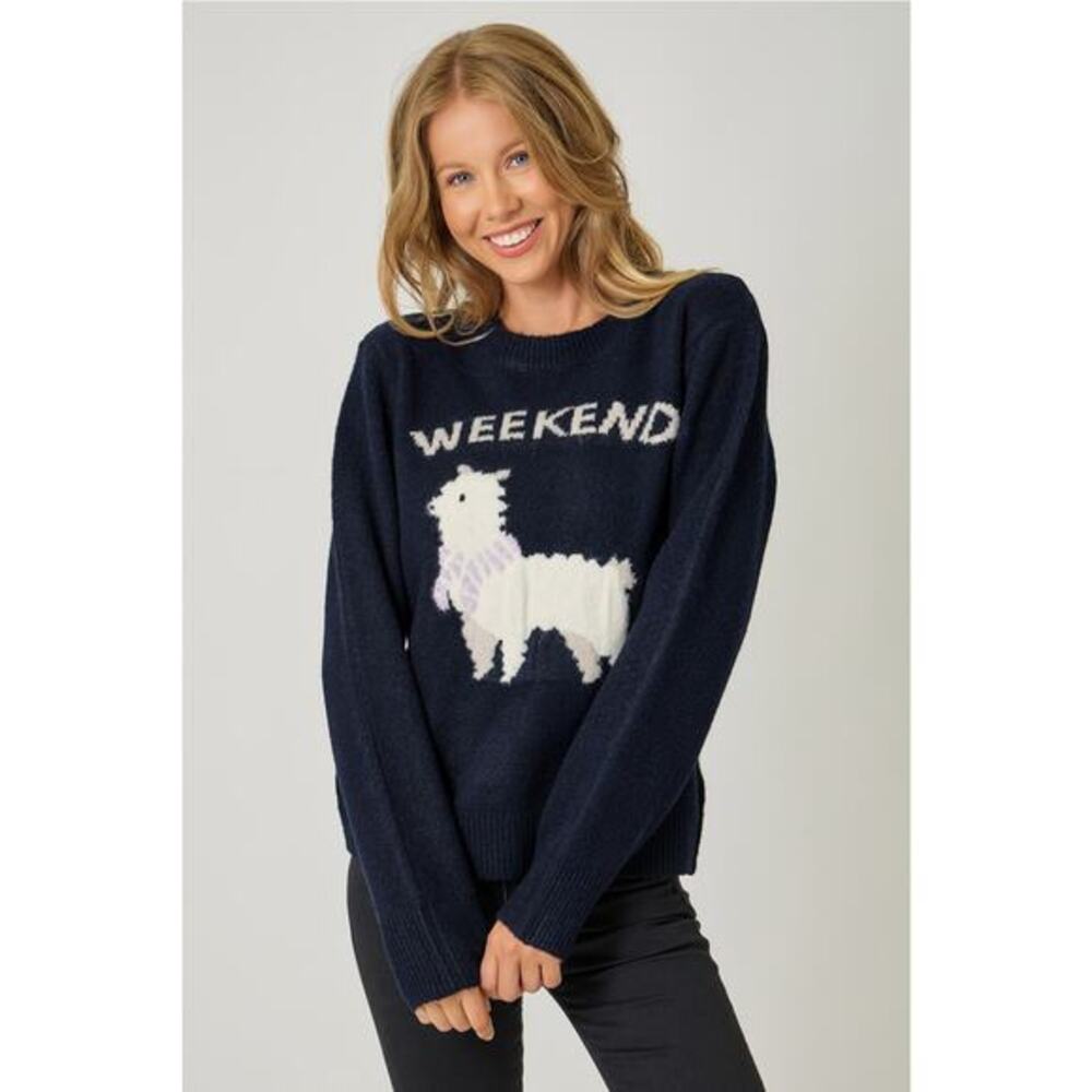 Mystree Navy Size Large Alpaca Weekend Pullover Sweater